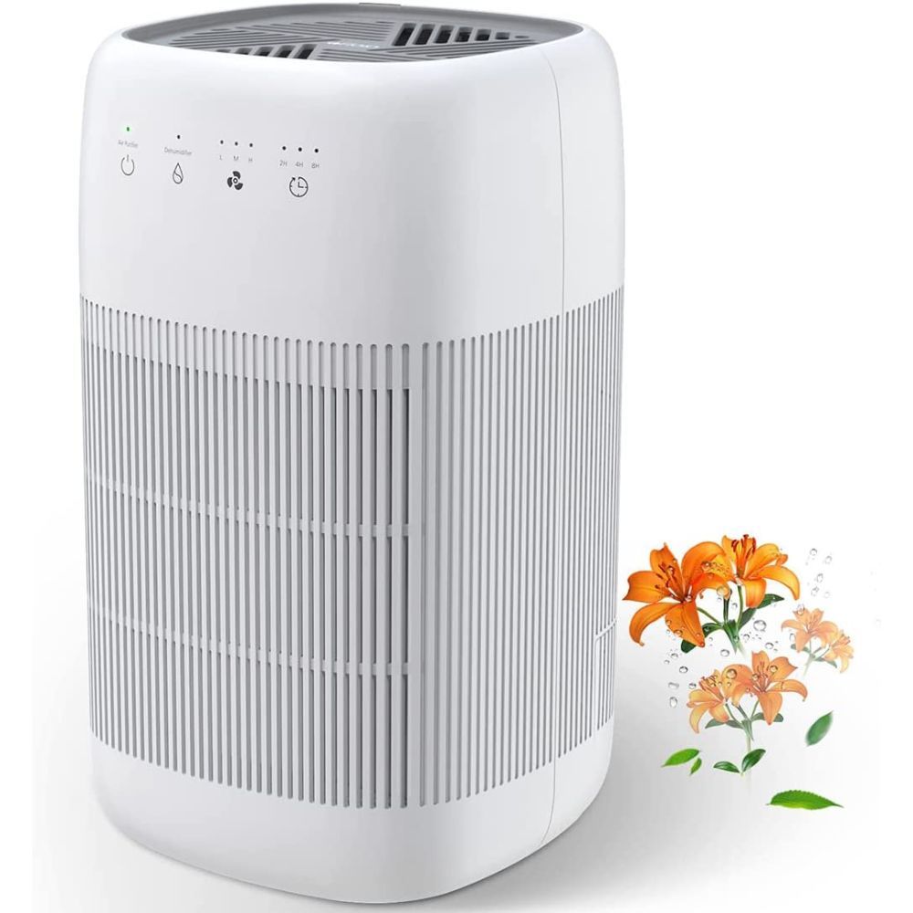 The Best 4 Air Purifier and Dehumidifier Combos for Your Home