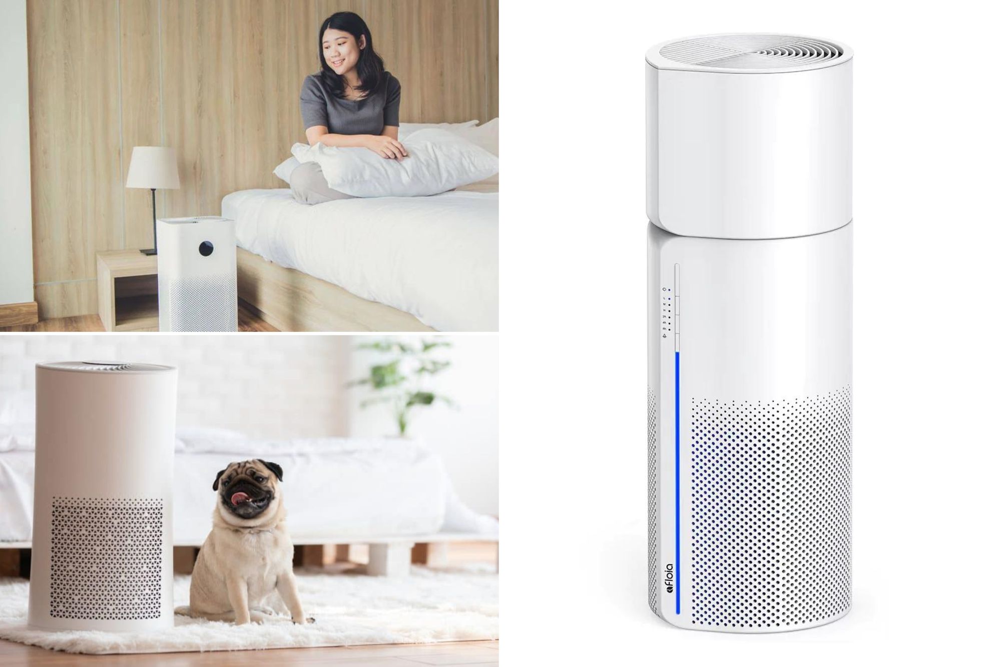 Best 4 Air Purifier and Humidifier Combos for Your Home