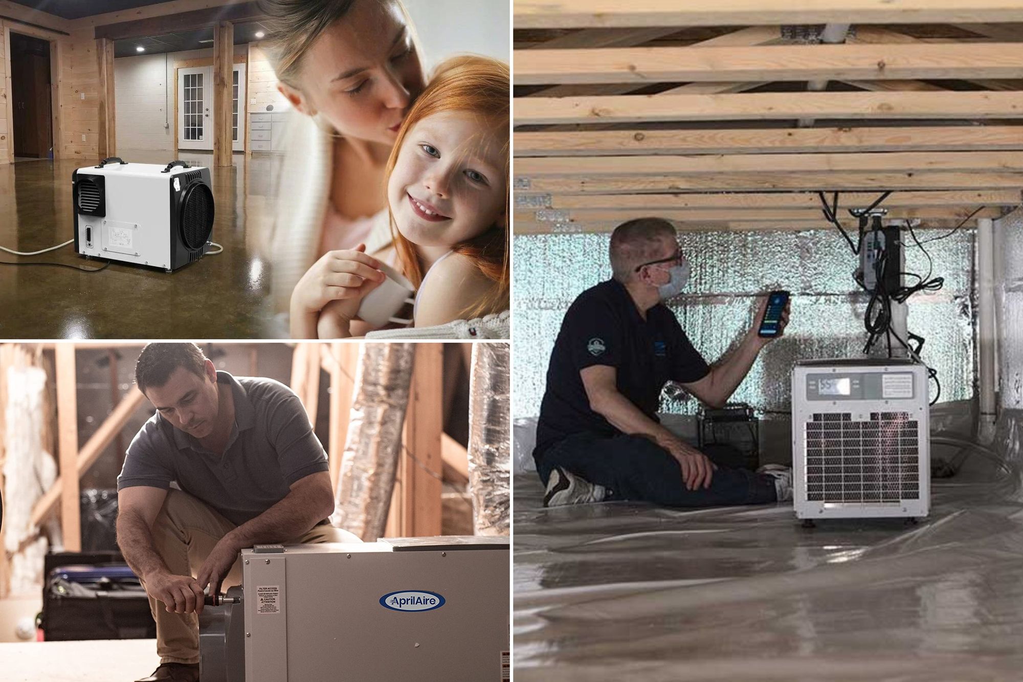 The 4 Best Crawl Space Dehumidifiers for Your Home