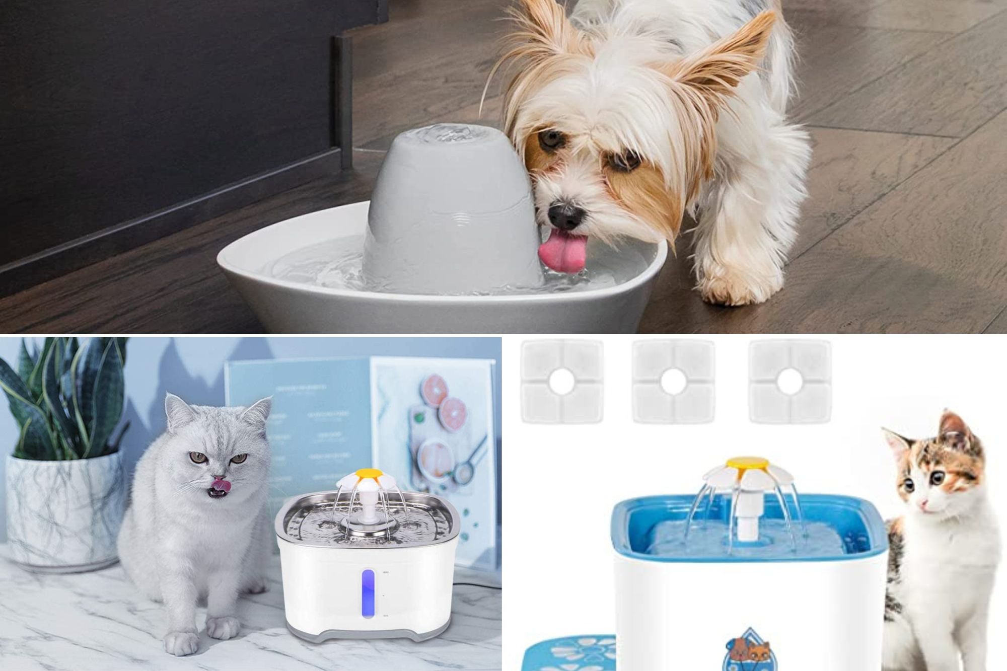 Finding The Right Water Fountain Filter For Your Pet