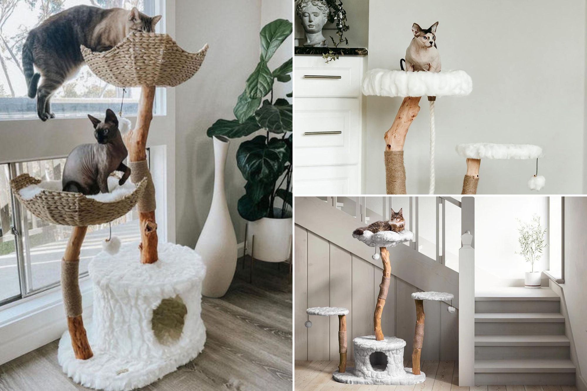 The Right Mau Cat Tree For Your Cat: 4 Smart Designs!