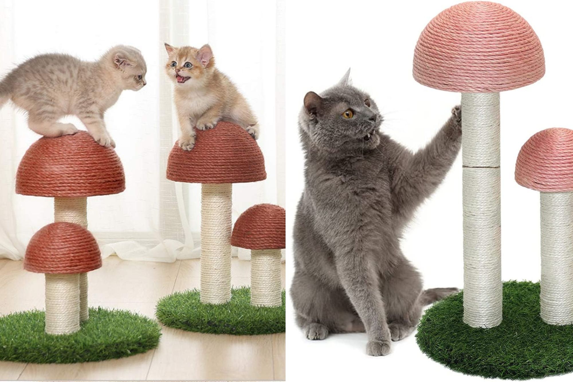 Revealed! 3 Of The Best Mushroom Cat Trees On Amazon