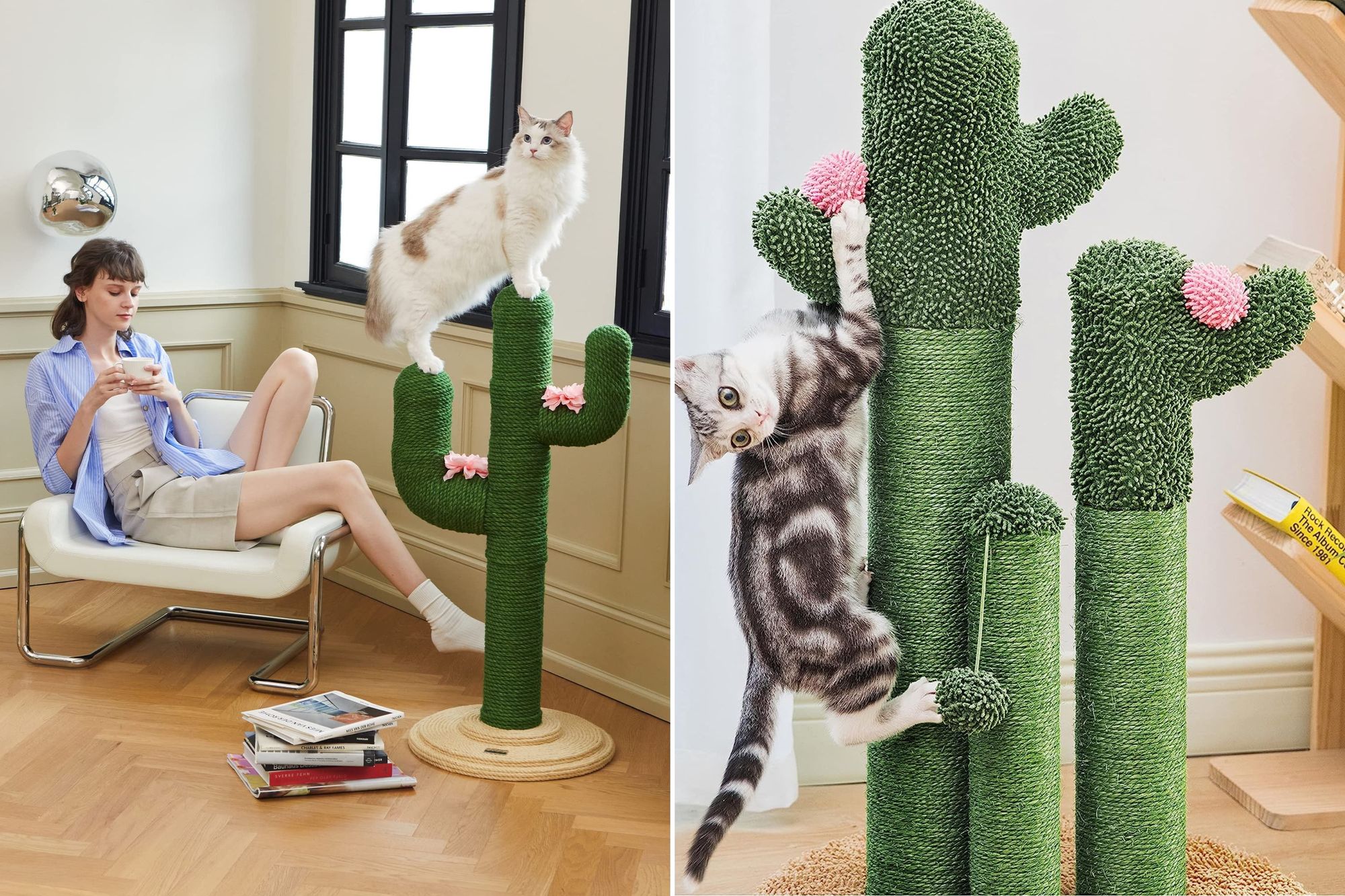 Need a Cute Cactus Cat Tree? 4 Models Discovered!