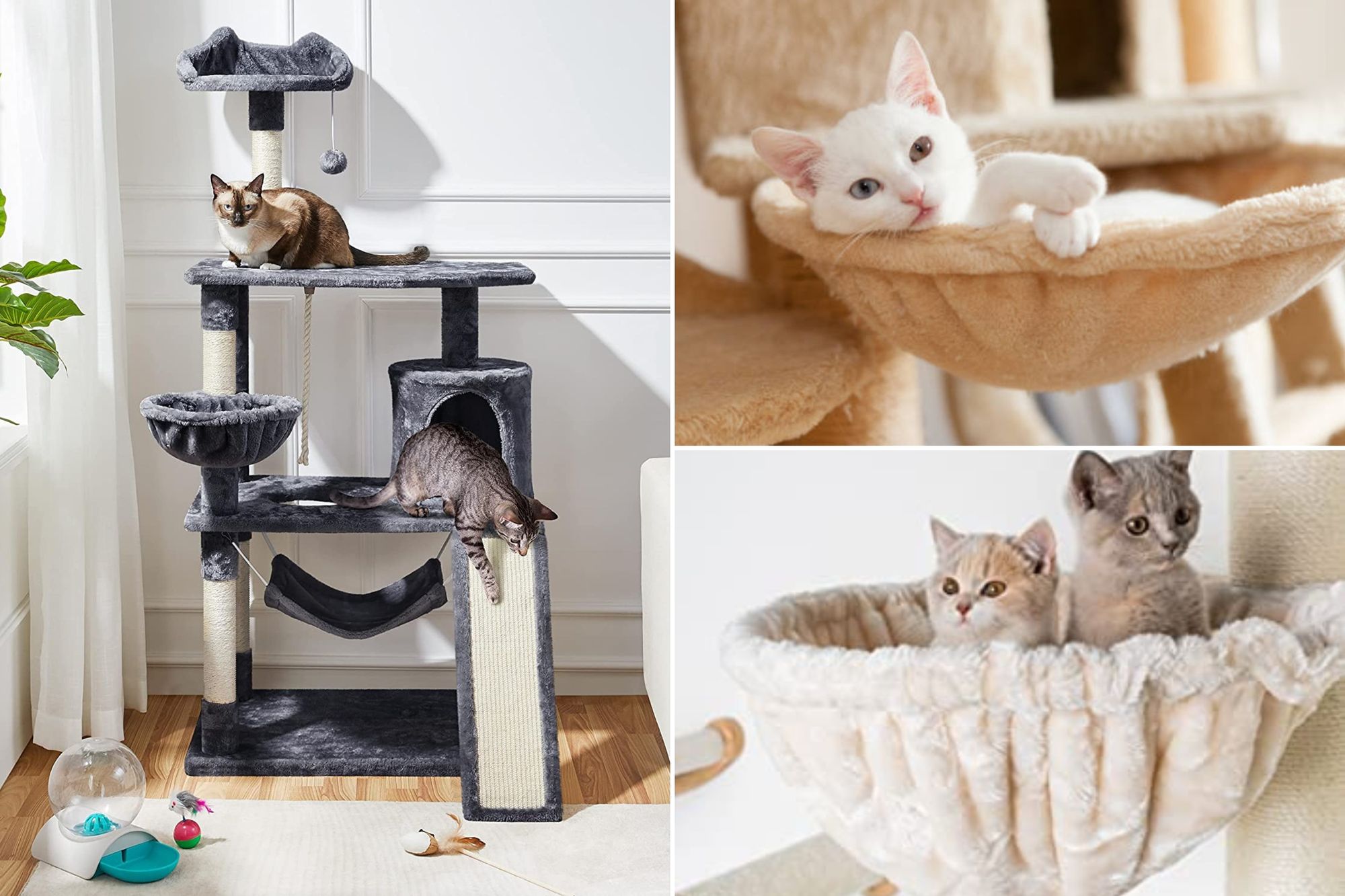 Get The Best Cat Tree with Hammock - Our Top 5 Picks!