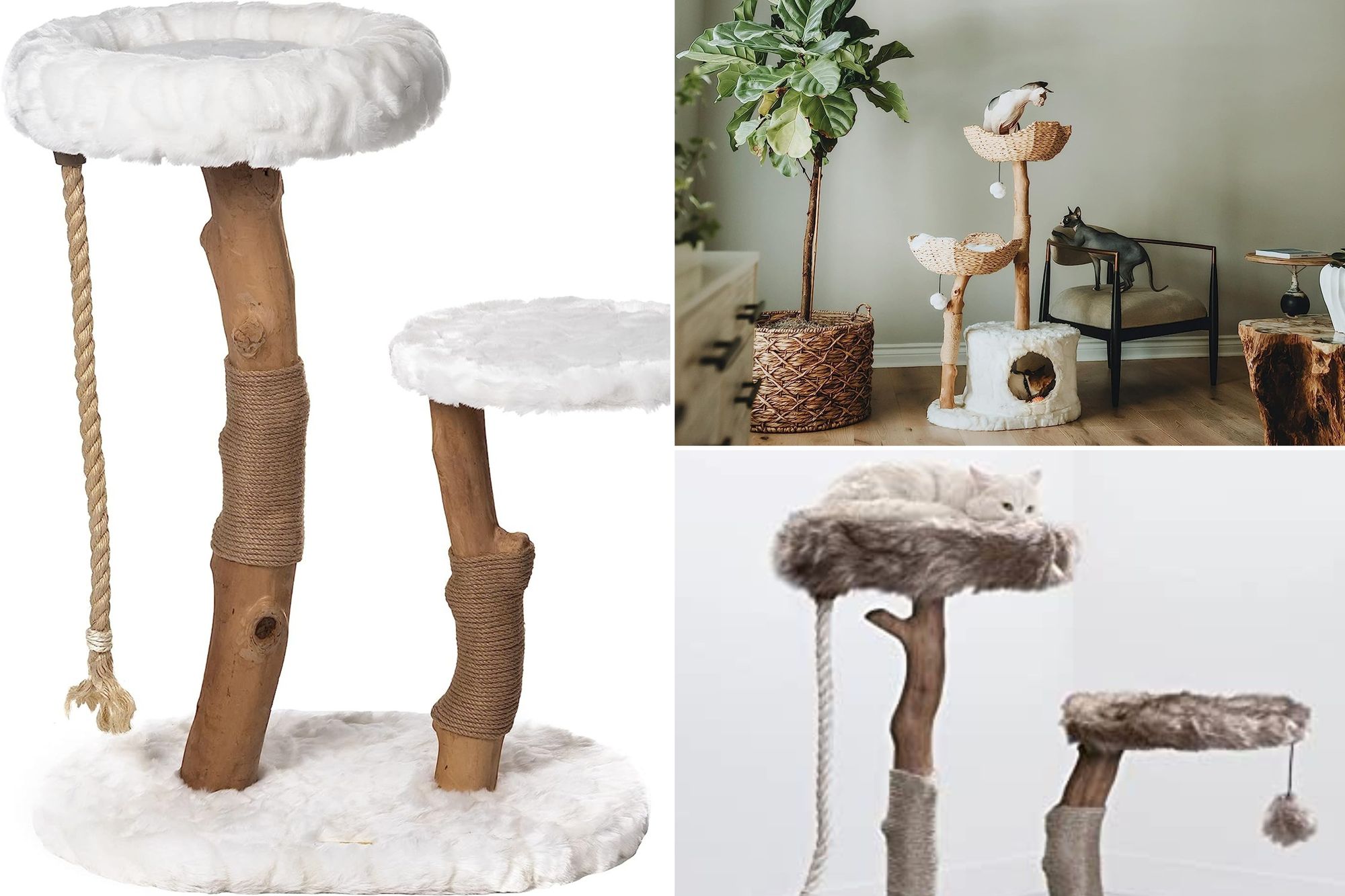 Perfect Guide To Buying The Right Driftwood Cat Tree!